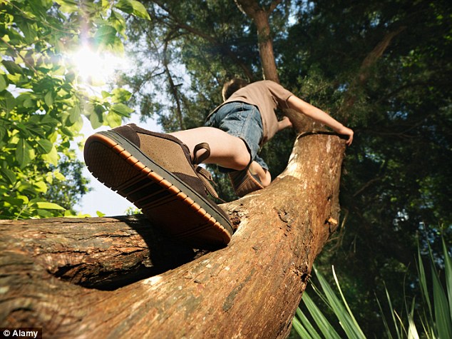 True Spirit of Adventure