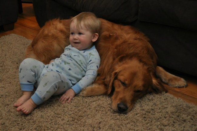 Kids with pets 1