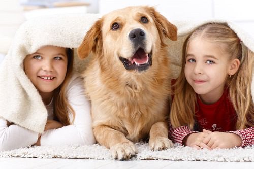 Kids with pets 4