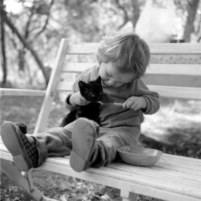 Kids with pets5