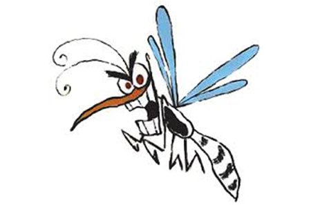 Mosquito