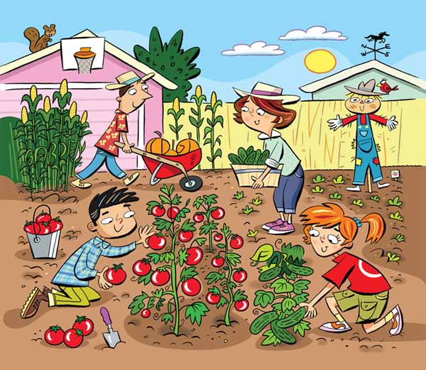 The Vegetable Garden