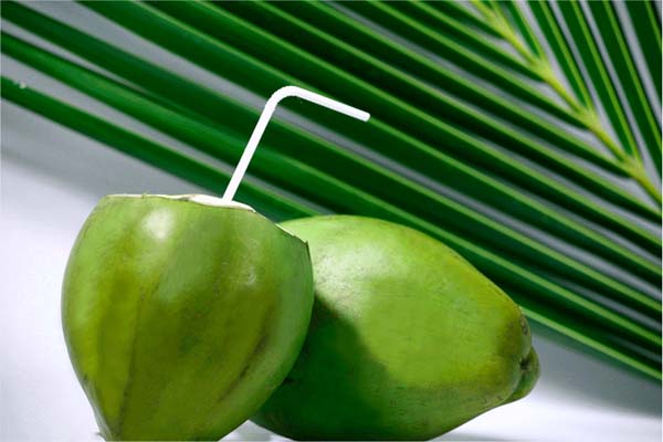 Coconut