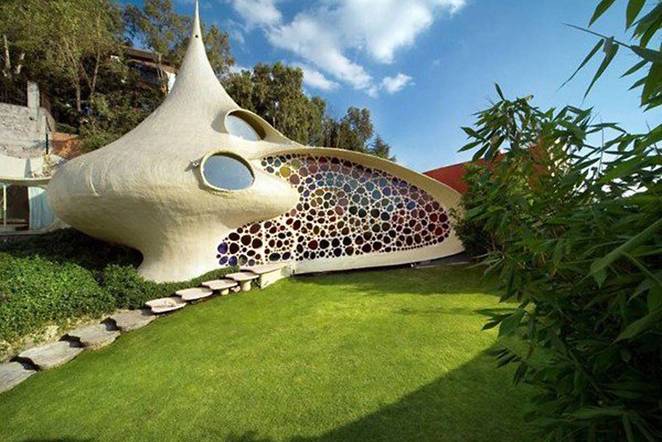 The Giant Seashell House