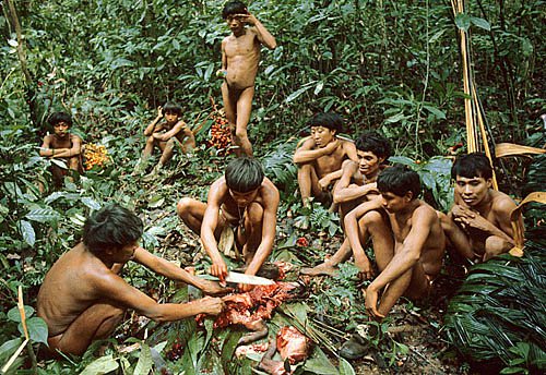 The Yanomami Tribe Of Amazon 
