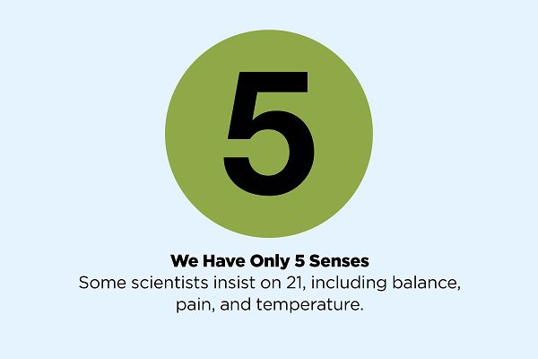 False facts 6