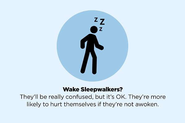 False facts 10