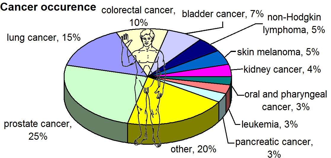 Most_common_cancers_-_male,_by_occurrence