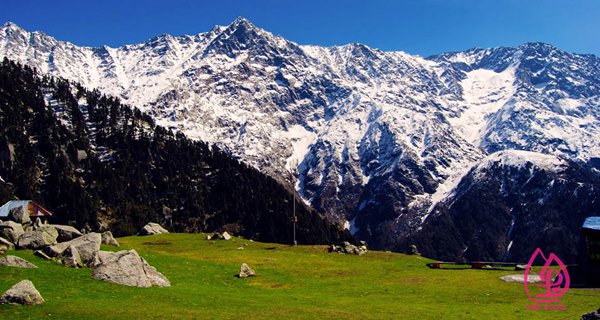 Triund-Trek-13