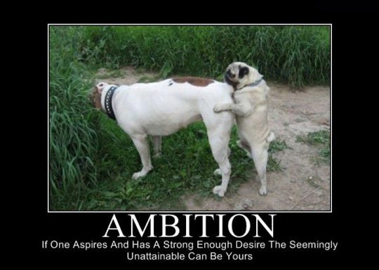 ambition1
