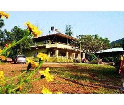 Inside Pictures of Salman Khan's Panvel Farmhouse