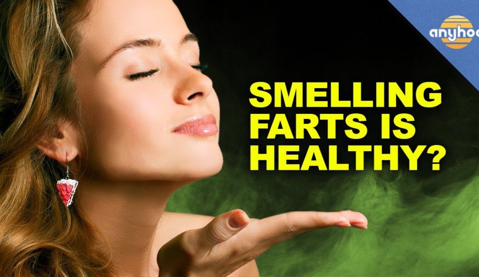 sniffing-farts-is-good-for-you-950x550