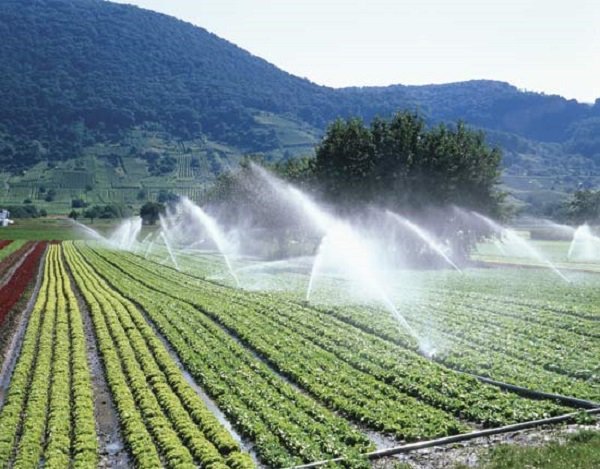 Largest irrigation system in the world