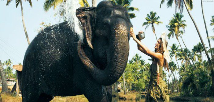 Elephant-Bathing-Thailand