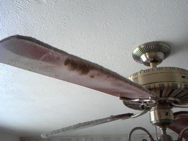 dirty-ceiling-fan