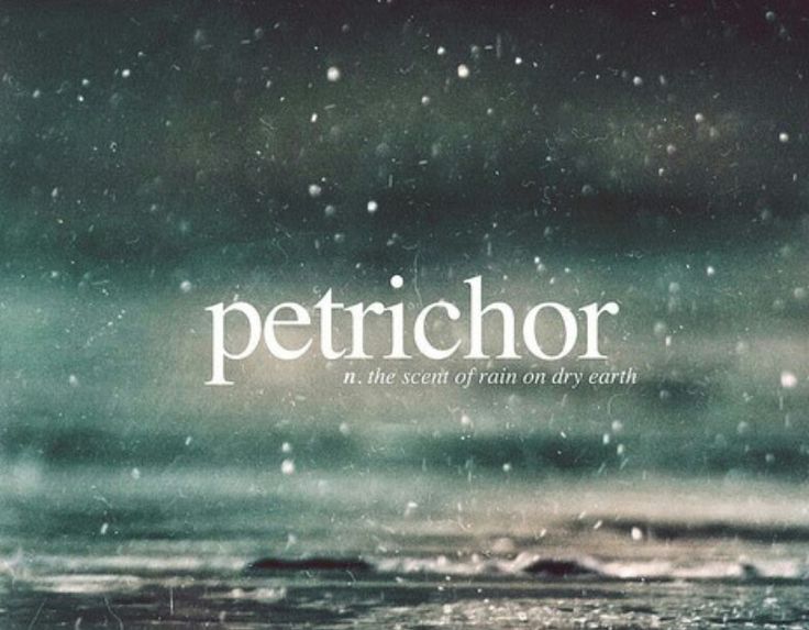 petrichor