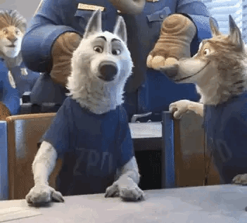 Dogs have their own swag.