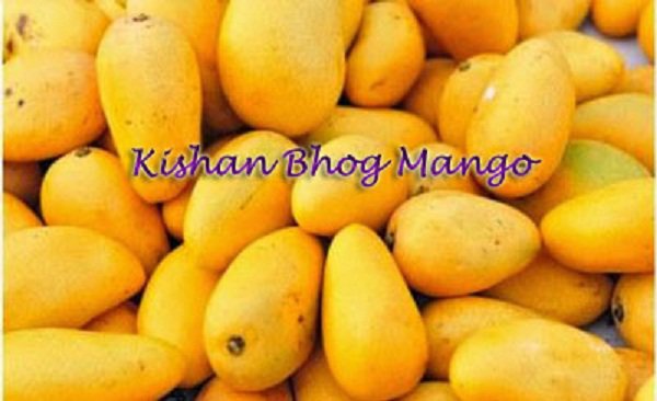 Kishan Bhog