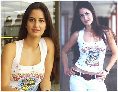 South Indian Movies That Katrina Kaif Did Before Getting Success in