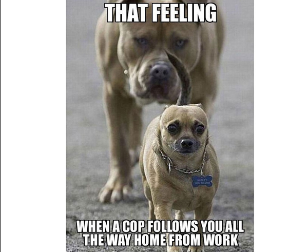 That Feeling When Memes You Can Relate To