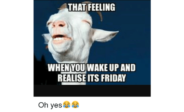 That Feeling When Memes You Can Relate To